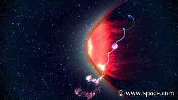 Twinkling star reveals the secrets of turbulent plasma in our cosmic neighborhood