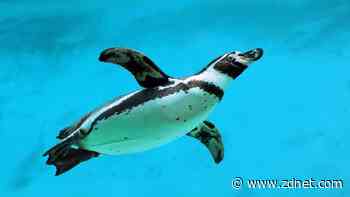 The 5 Linux AppImages I depend on daily - and how to add them to your desktop menu