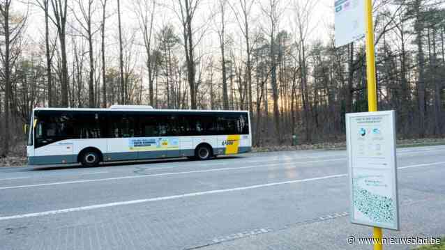 Vooruit Limburg stemt dinsdag tegen schrappen lijnbussen op de Vervoerregio: “Want wat hebben wij nog te zeggen over onze eigen bussen?”