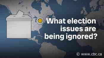 What issues are being ignored in the federal election campaign?