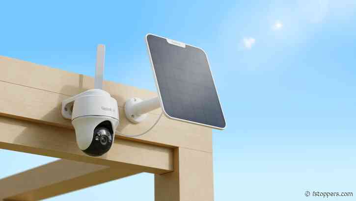 Reolink Go PT Ultra Field Review: Excellent Footage, But Not Quite a Wildlife Camera