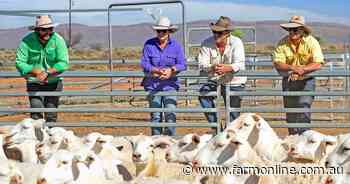 Rare chance to make a play for three of Australia's historic sheep stations