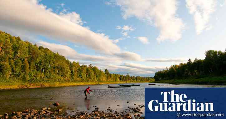 Banned DDT discovered in Canadian trout 70 years after use, research finds