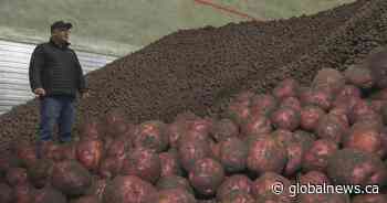 Trump tariffs affect ag industry, including exempt products: CFA