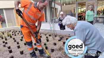 Bewoners wzc Meerlehof steken zelf handen uit de mouwen voor aanleg nieuwe tuin