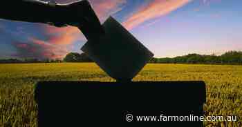 Polls open: What have the parties offered and who is the bush voting for?