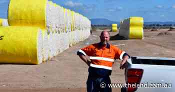 Carroll Gin prepares for cotton harvest with 150,000 bales expected this pick