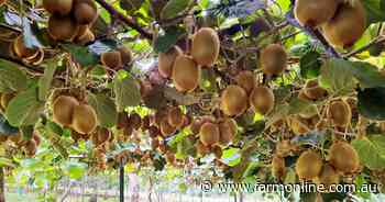 Aussie farmland a battleground for local and global agricultural investors