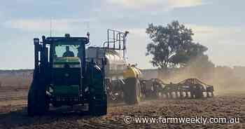 March sown canola kicks off trial program at Pithara for Liebe Group