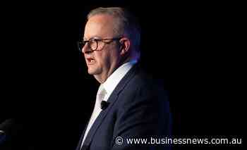 'No day for politicking': leaders pause for Pope death