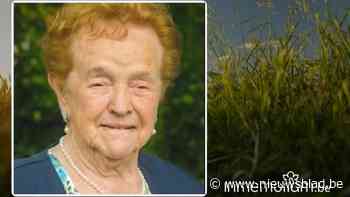 José Truyers, 95 jaar