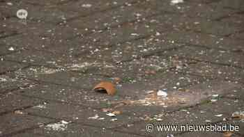 ‘Eierenrijden’ op weg om echte traditie te worden in Mortsel