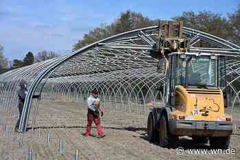 Investition in neue Anbaumethoden: Frische Beeren bis in den Herbst