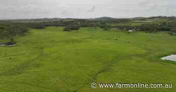 Quality North Queensland cattle property for up to 200 head off to auction