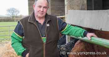 'Not good enough': report says farmers in York and North Yorkshire face health crisis