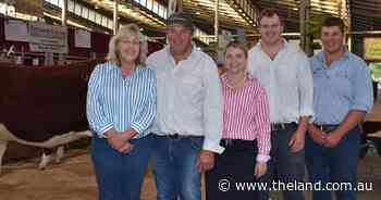 Cootamundra's Bush family celebrates 60 years at Wodonga Hereford Nationals