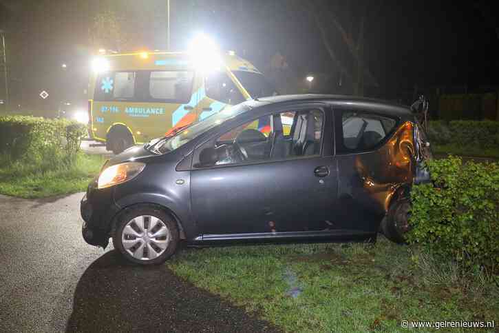 Vrouw en kinderen gewond na botsing tegen boom