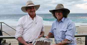 Beef producers bring BBQ to the big smoke to showcase sustainable agriculture