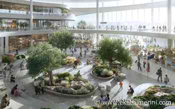 A garden inside the country's main airport