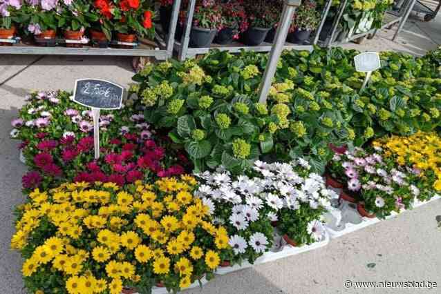 Bruisende Tuinmarkt verwacht opnieuw honderden bezoekers