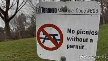 Councillor wants to explore more food options in Toronto parks, fewer rules