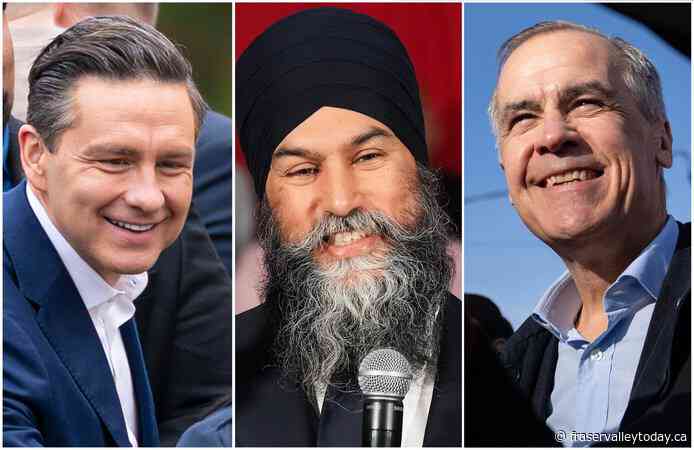 Tories expected to release platform as federal election campaign nears its end