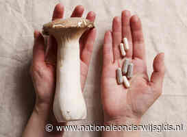 Spirituele kant van paddo’s krijgt plek in universitair onderwijs