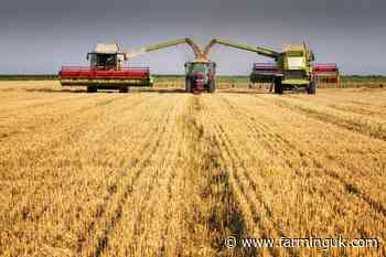 Survey reveals 2025 contracting price rises amid soaring costs