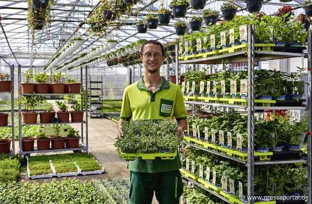 Gemüse, Kräuter und Obst aus dem eigenen Garten