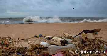 Gamifying litter cleanup: How a new initiative in Ontario is turning trash into cash