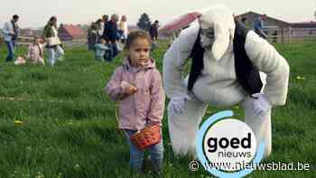 Veertig kleine Tuyters rapen eitjes op paasweide in Horpmaal