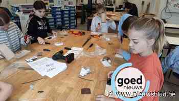 Eerste STEM- en sportkamp in Spectrumcollege Paal maakt jongeren warm voor wetenschap en techniek