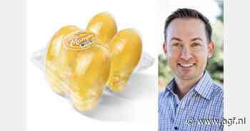 Nieuwe Honey mango clamshell