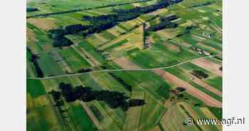 "Gunstige prijs geeft teler een flinke zet in de rug"