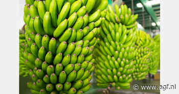 Colombiaanse bananentelers willen meer naar EU exporteren