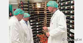Voorzitter LTO en burgemeester Arends bezoeken tomatenkwekerij