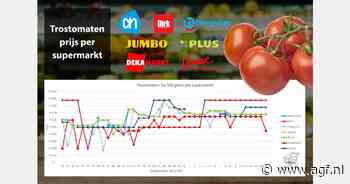 Spotlight op Galia en trostomaten, komkommer- en bloemkoolprijzen naar gelijk niveau