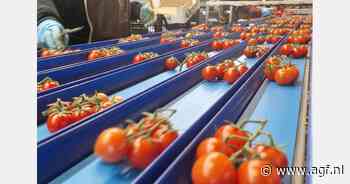 Voor elke groente een op maat gemaakte verpakkingslijn