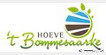 "Het had niet veel langer zo druk moeten zijn als met Pasen"