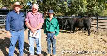 Marbling on the shopping list as producers push top prices at Reiland sale