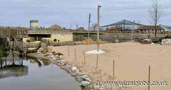 Chester Zoo rated top in Britain and third in Europe, says Tripadvisor
