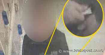 Pet shop thief 'hides four live canaries down his trousers' before making his escape