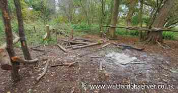 Cassiobury Park trees damaged as 'unauthorised structures' built