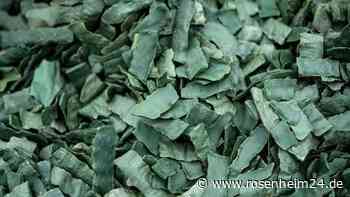 Algen als Superfood? Verbraucherschützer warnen vor Gesundheitsrisiko