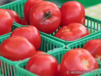 Guest column: For Ontario farmers, every day is Earth Day