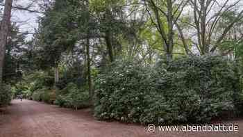 Getöteter 18-Jähriger kannte Tatverdächtige offenbar aus Psychiatrie