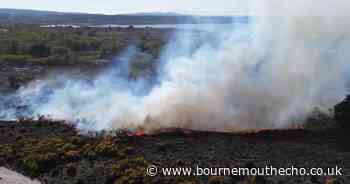 Studland fire likely to have started due to 'human intervention'