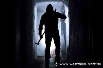 Polizei fahndet mit Foto nach Einbrecher