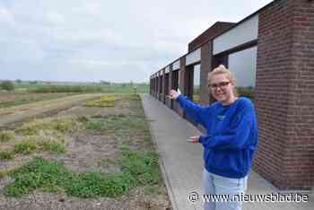 Woonzorgcentrum wil met volkstuintjes voor verbinding zorgen: “Bewoners met groene vingers de kans geven om te tuinieren”
