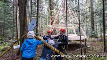 Calw kriegt ein Baumhaus: Arbeit in schwindelerregender Höhe